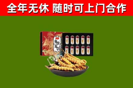 东西湖回收冬虫夏草价格